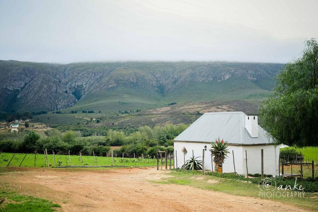 Swartberg Country Manor Pension Matjiesrivier  Buitenkant foto