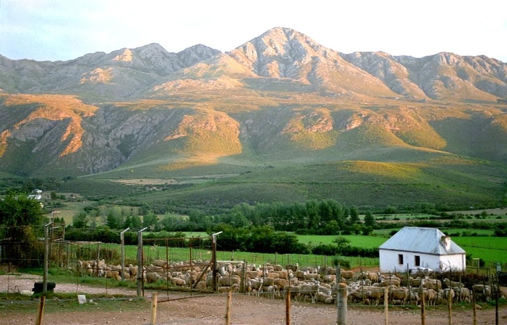 Swartberg Country Manor Pension Matjiesrivier  Buitenkant foto