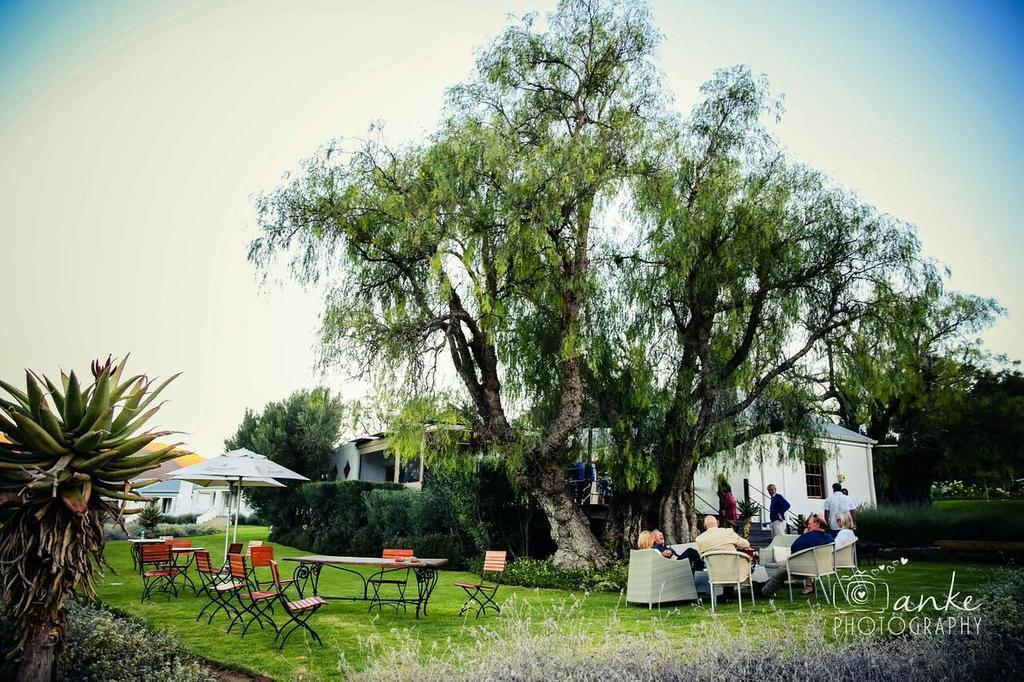 Swartberg Country Manor Pension Matjiesrivier  Buitenkant foto
